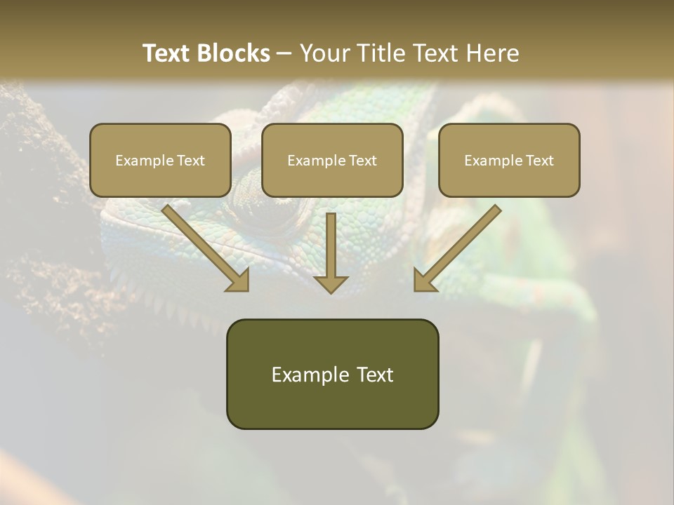 Looking Camouflage Careless PowerPoint Template