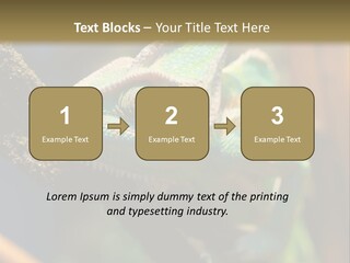 Looking Camouflage Careless PowerPoint Template