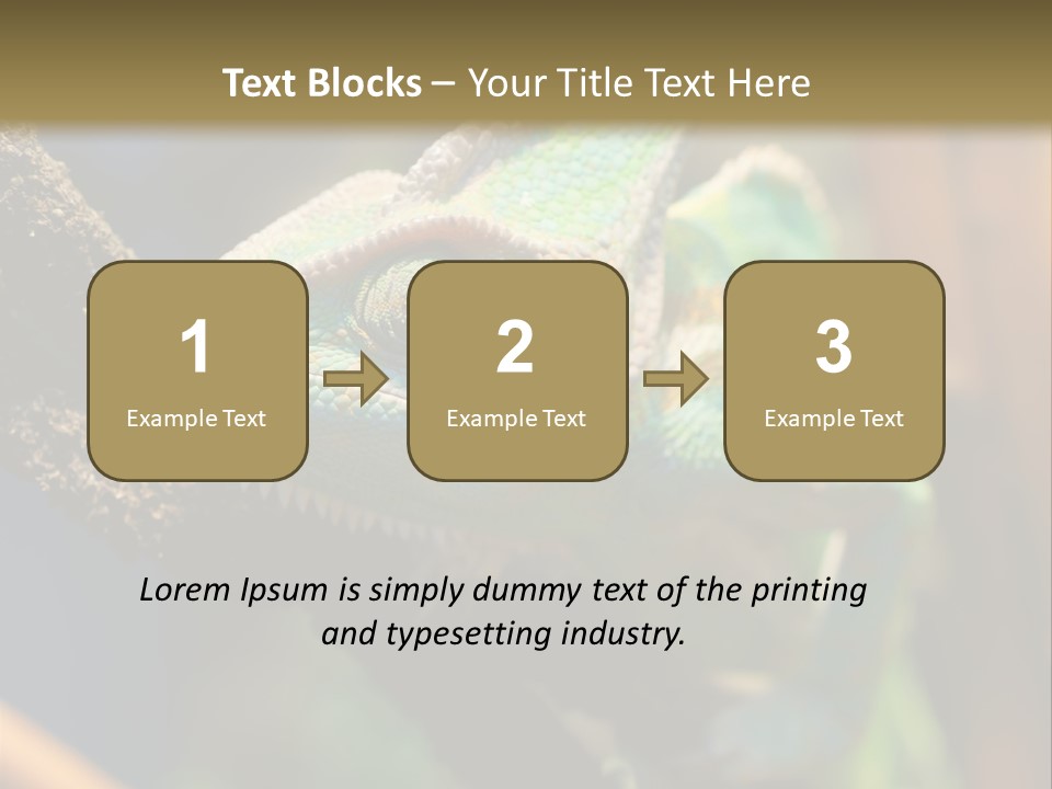 Looking Camouflage Careless PowerPoint Template