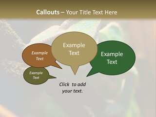 Looking Camouflage Careless PowerPoint Template