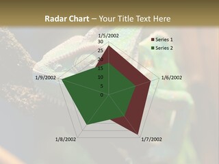 Looking Camouflage Careless PowerPoint Template