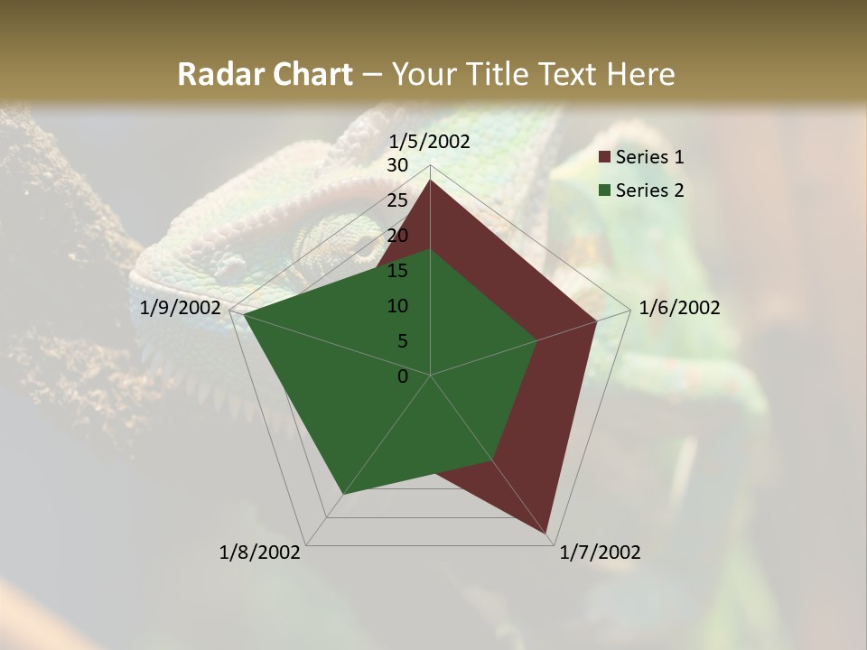 Looking Camouflage Careless PowerPoint Template