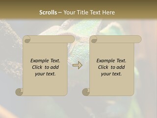 Looking Camouflage Careless PowerPoint Template