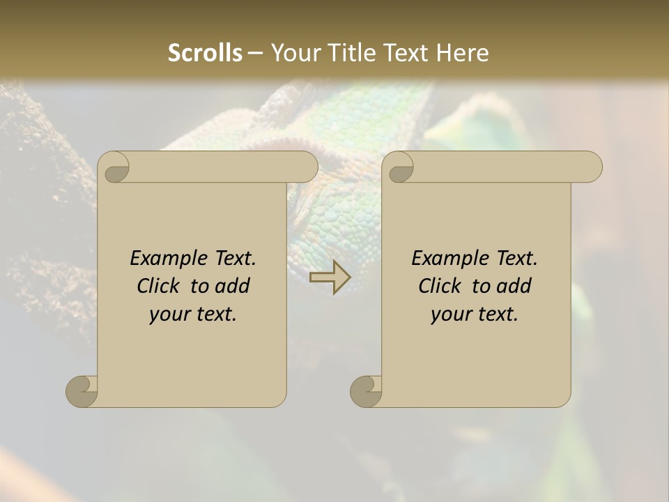 Looking Camouflage Careless PowerPoint Template