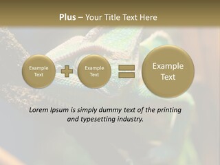 Looking Camouflage Careless PowerPoint Template