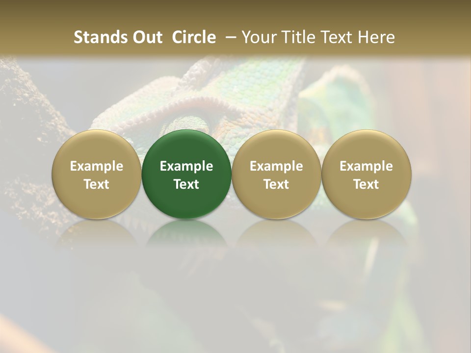 Looking Camouflage Careless PowerPoint Template