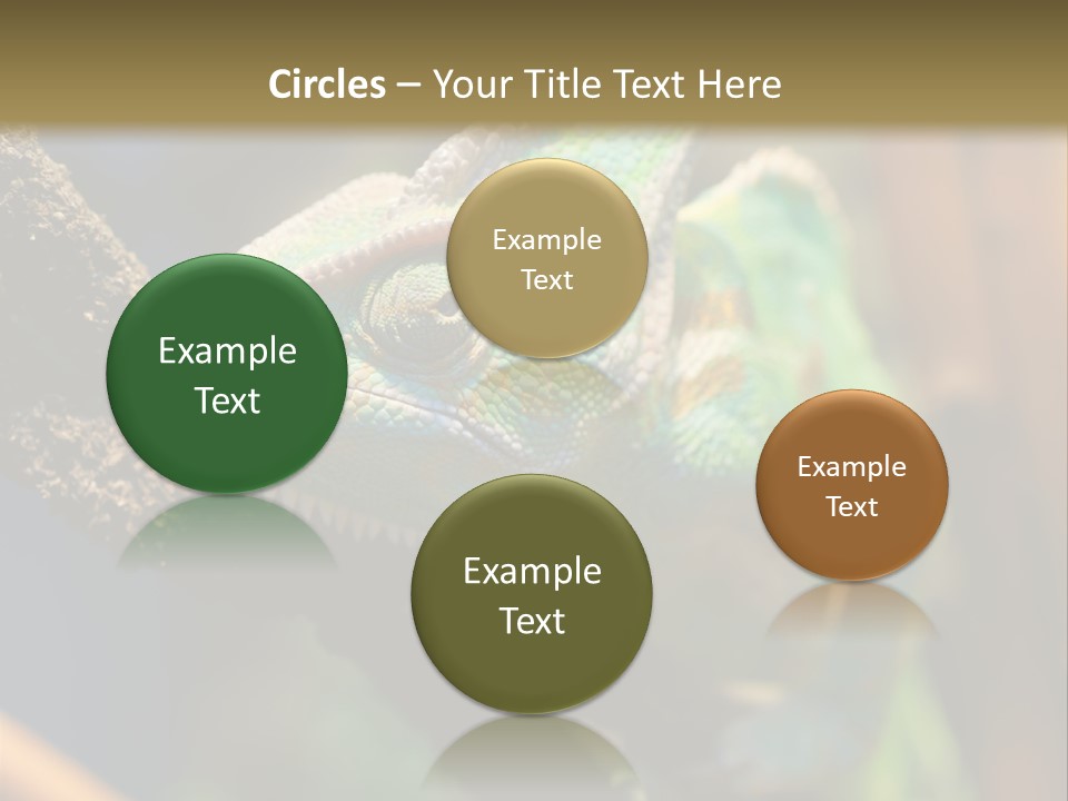 Looking Camouflage Careless PowerPoint Template