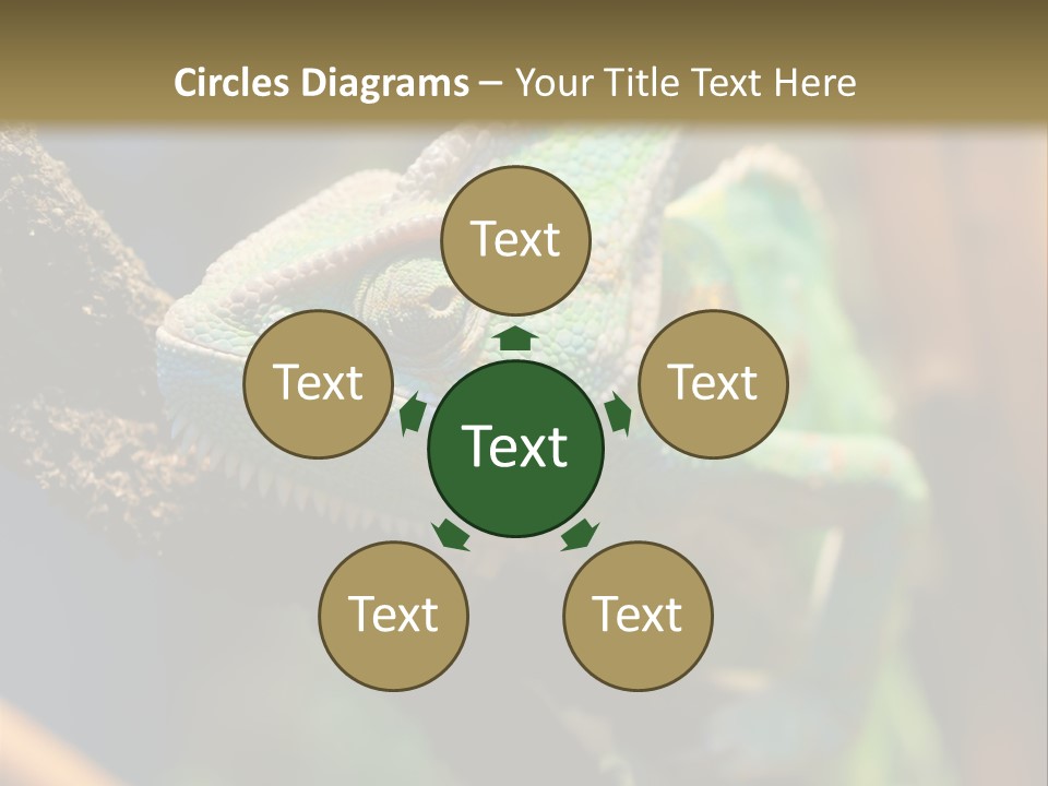 Looking Camouflage Careless PowerPoint Template