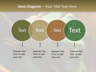 Looking Camouflage Careless PowerPoint Template