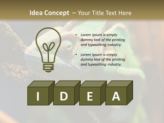 Looking Camouflage Careless PowerPoint Template