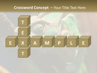 Looking Camouflage Careless PowerPoint Template