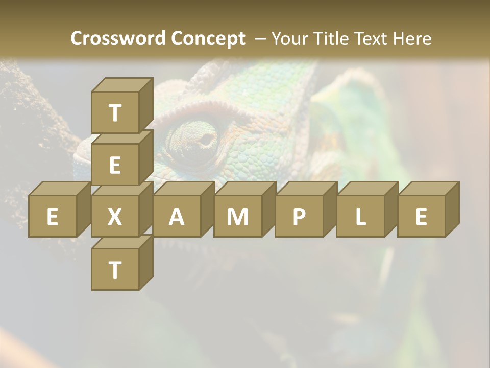 Looking Camouflage Careless PowerPoint Template