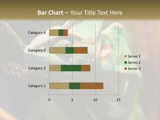 Looking Camouflage Careless PowerPoint Template