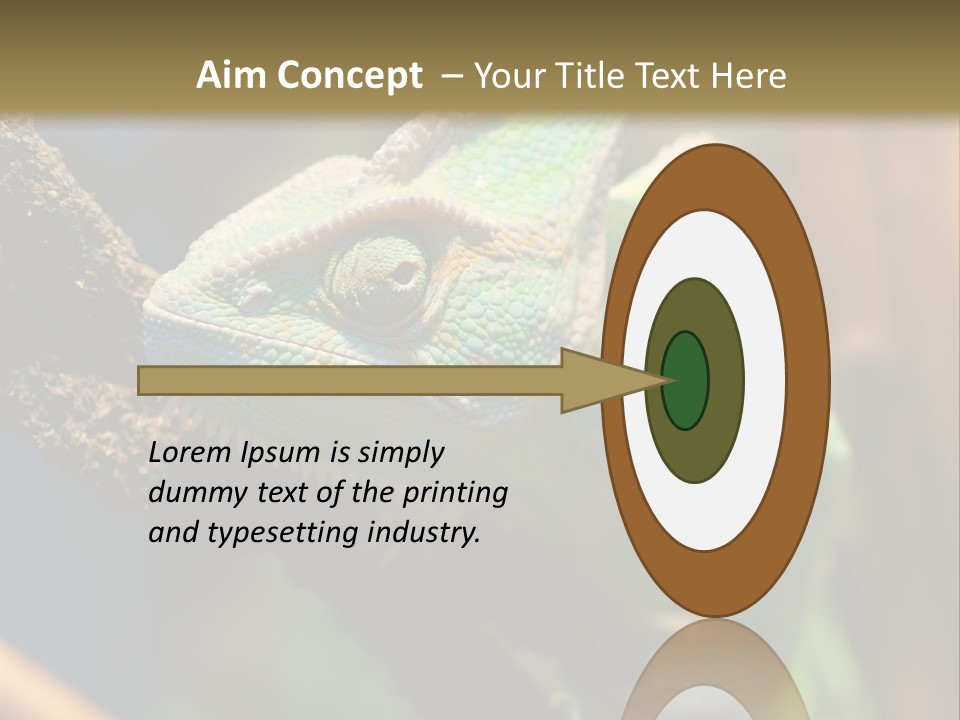 Looking Camouflage Careless PowerPoint Template