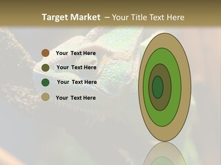 Looking Camouflage Careless PowerPoint Template