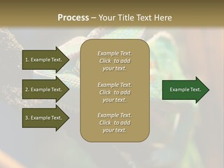 Looking Camouflage Careless PowerPoint Template