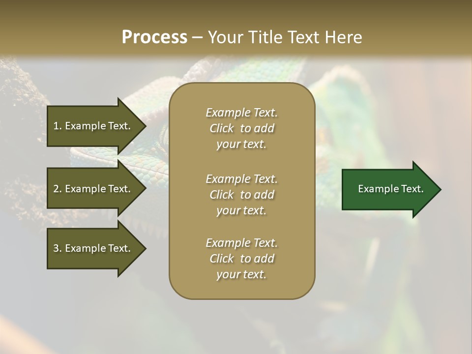 Looking Camouflage Careless PowerPoint Template