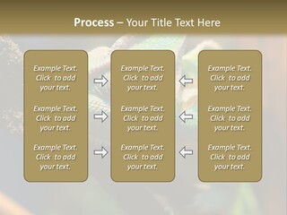 Looking Camouflage Careless PowerPoint Template
