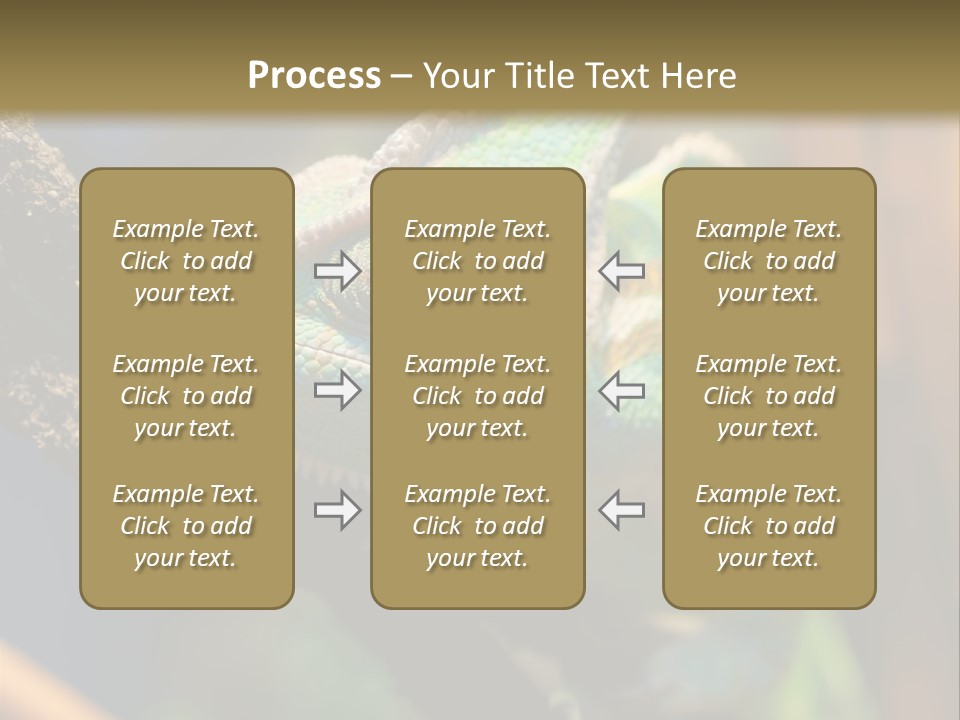 Looking Camouflage Careless PowerPoint Template