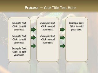 Looking Camouflage Careless PowerPoint Template