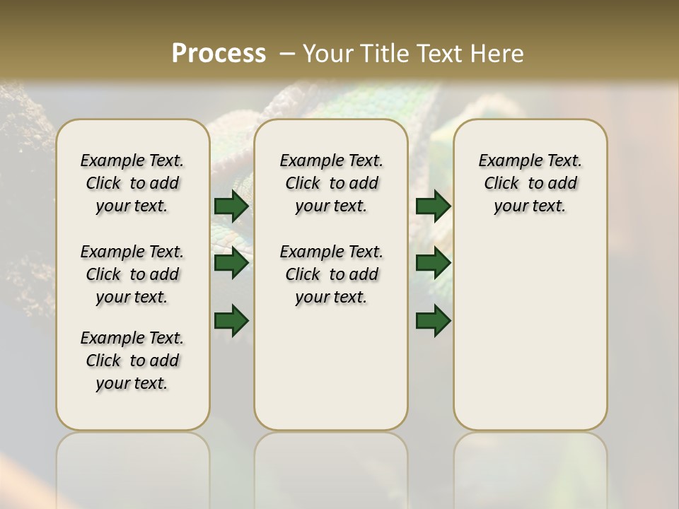 Looking Camouflage Careless PowerPoint Template