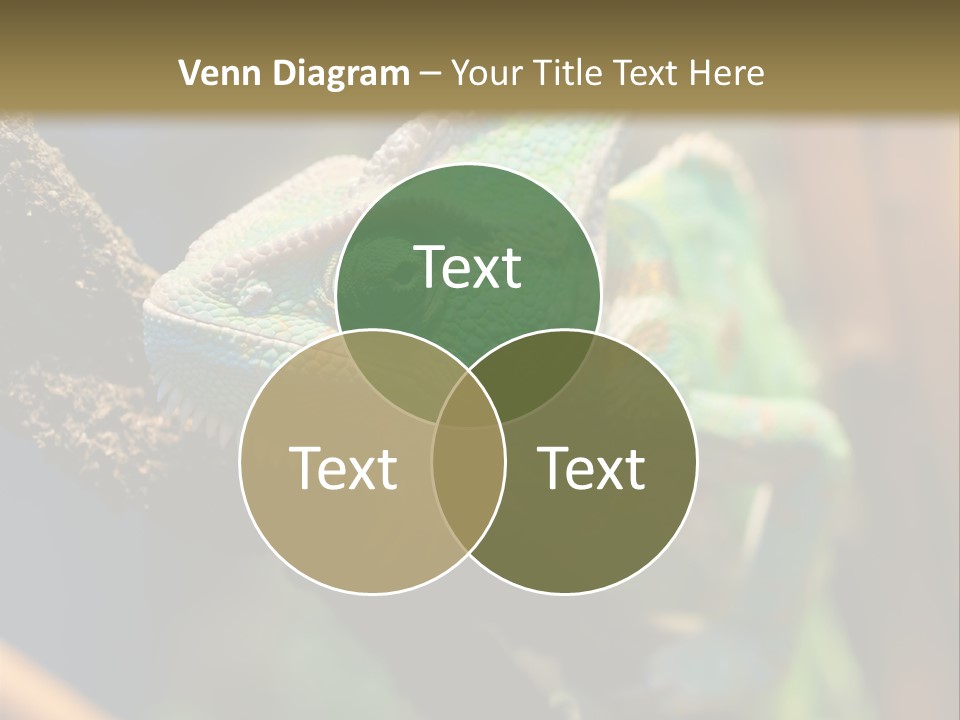 Looking Camouflage Careless PowerPoint Template