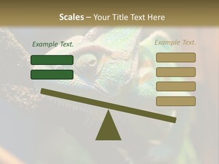 Looking Camouflage Careless PowerPoint Template
