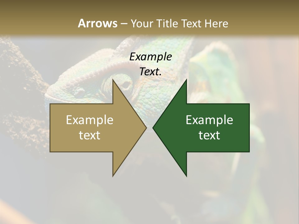 Looking Camouflage Careless PowerPoint Template