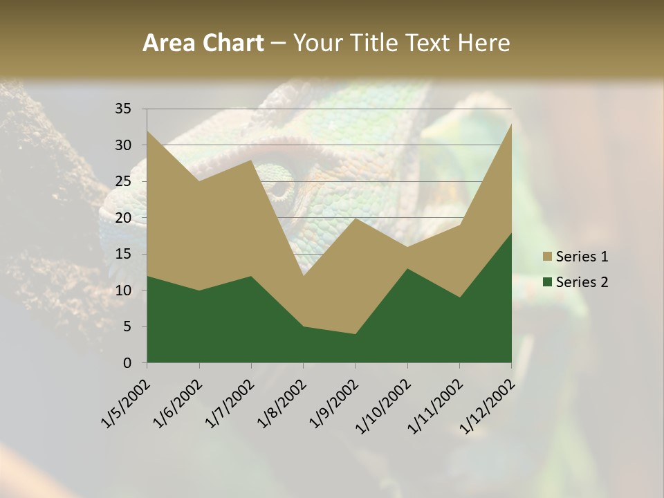 Looking Camouflage Careless PowerPoint Template