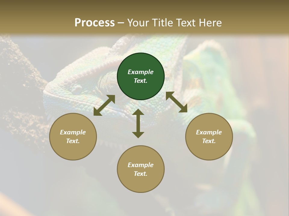Looking Camouflage Careless PowerPoint Template