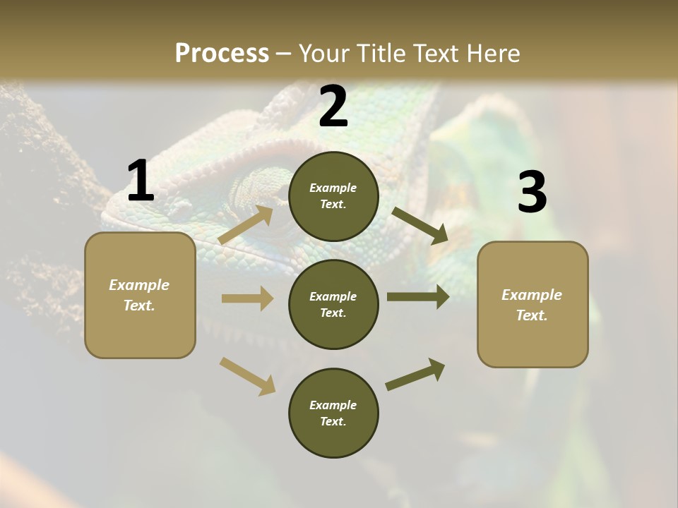 Looking Camouflage Careless PowerPoint Template