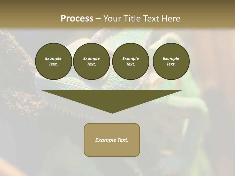 Looking Camouflage Careless PowerPoint Template