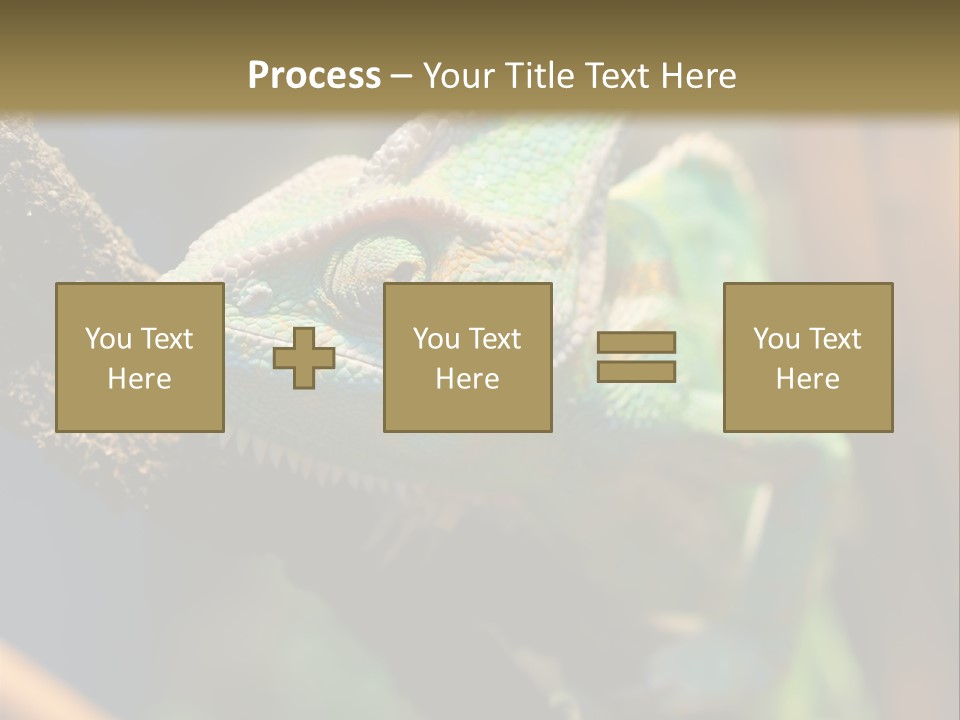 Looking Camouflage Careless PowerPoint Template