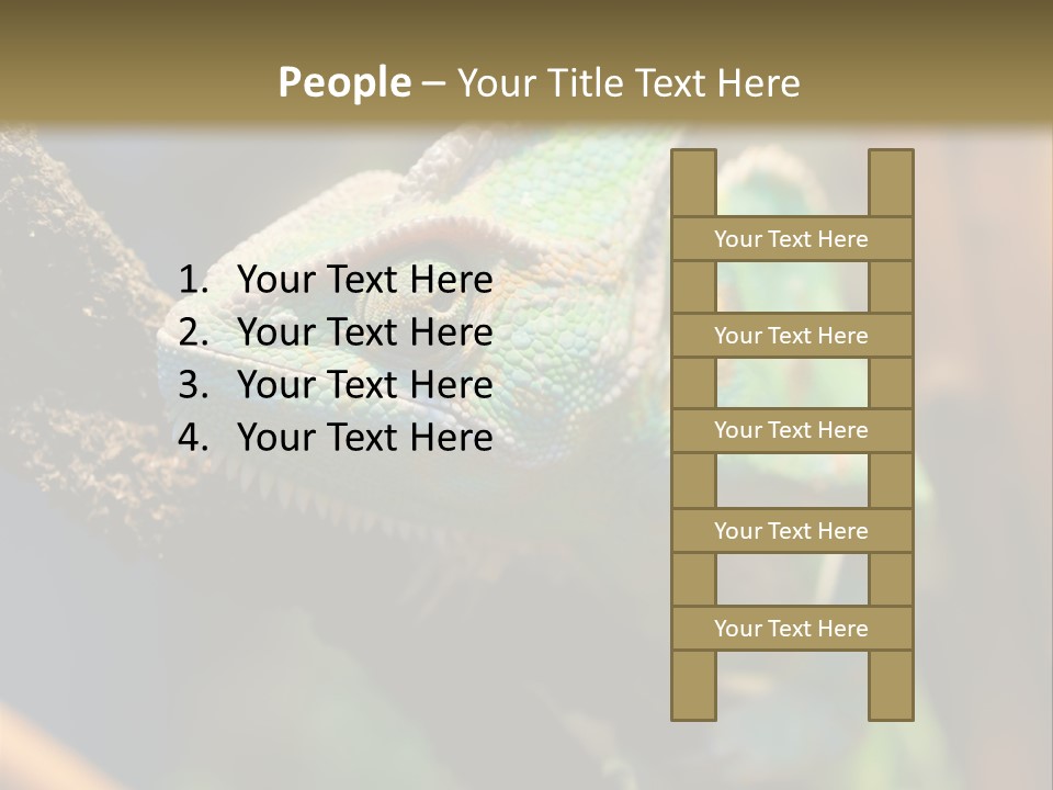 Looking Camouflage Careless PowerPoint Template