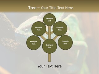 Looking Camouflage Careless PowerPoint Template