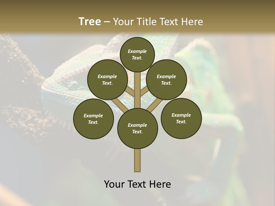 Looking Camouflage Careless PowerPoint Template