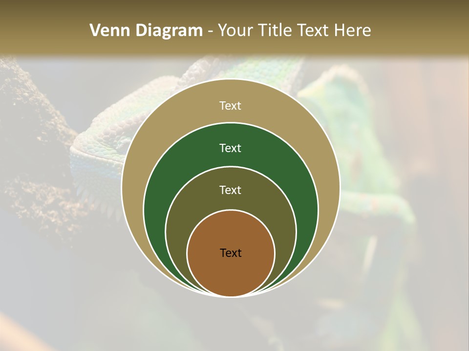 Looking Camouflage Careless PowerPoint Template