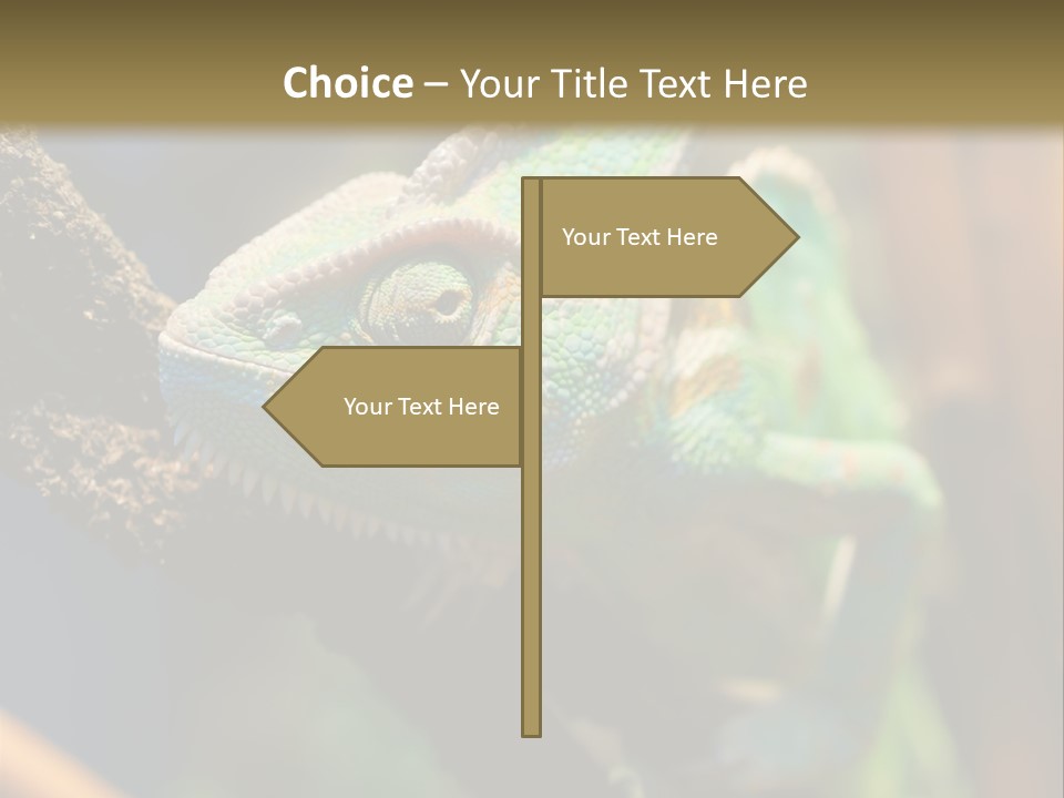 Looking Camouflage Careless PowerPoint Template