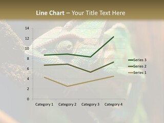 Looking Camouflage Careless PowerPoint Template