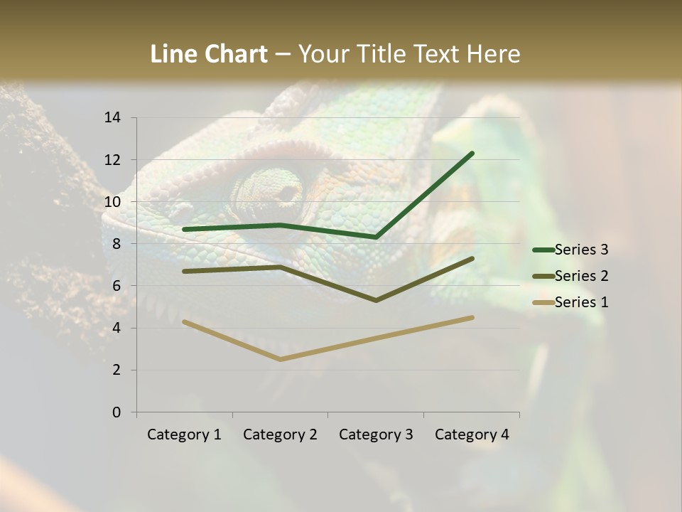 Looking Camouflage Careless PowerPoint Template