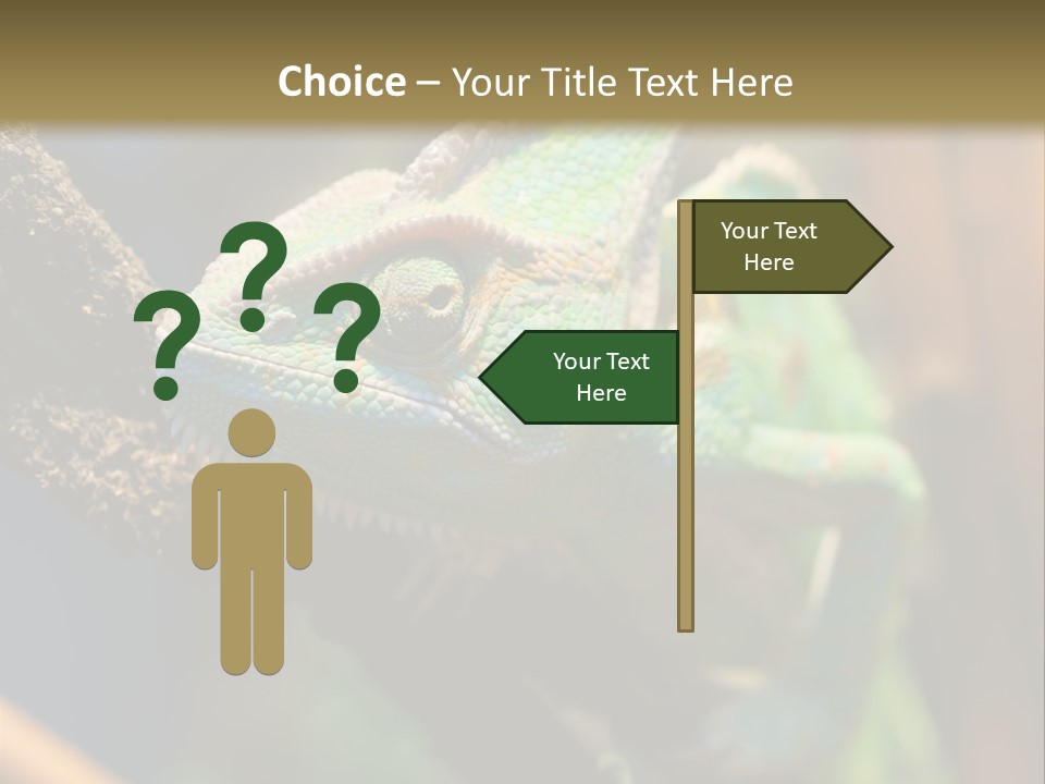 Looking Camouflage Careless PowerPoint Template