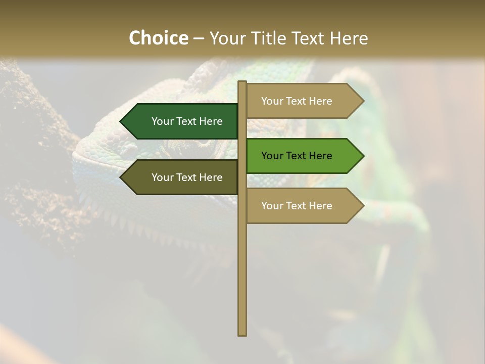 Looking Camouflage Careless PowerPoint Template