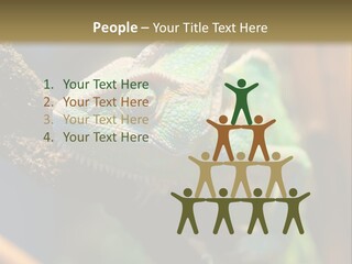 Looking Camouflage Careless PowerPoint Template