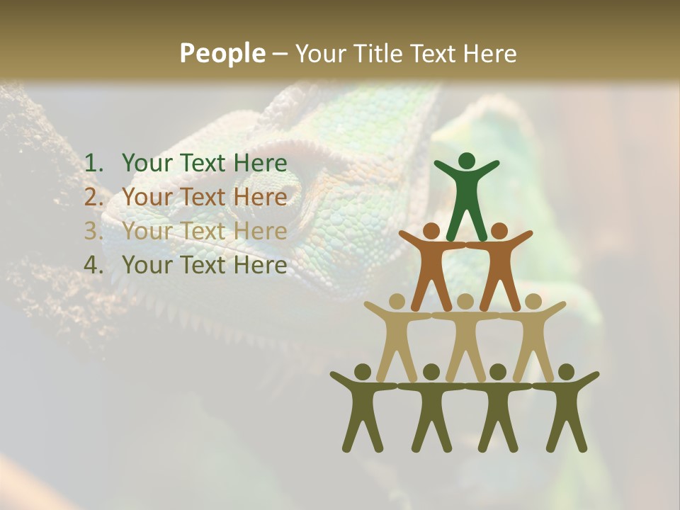 Looking Camouflage Careless PowerPoint Template