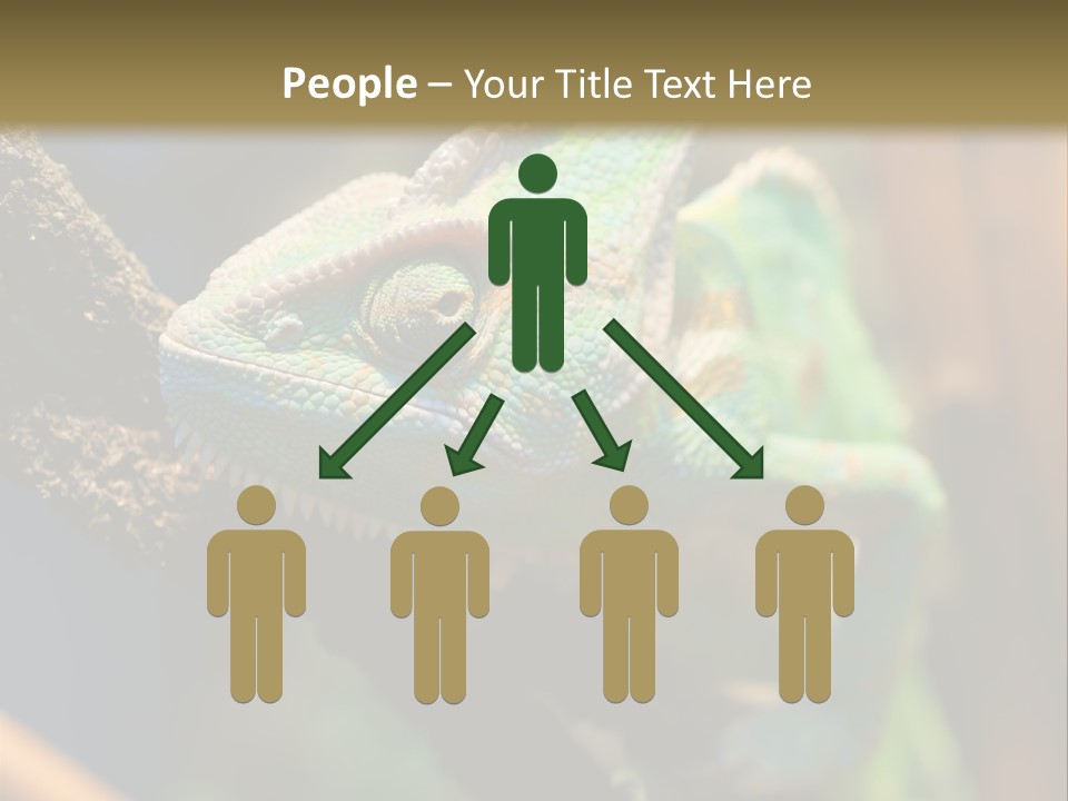 Looking Camouflage Careless PowerPoint Template