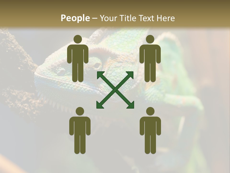 Looking Camouflage Careless PowerPoint Template