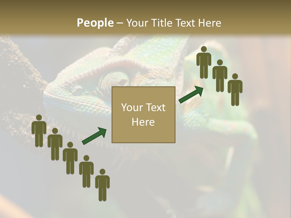 Looking Camouflage Careless PowerPoint Template