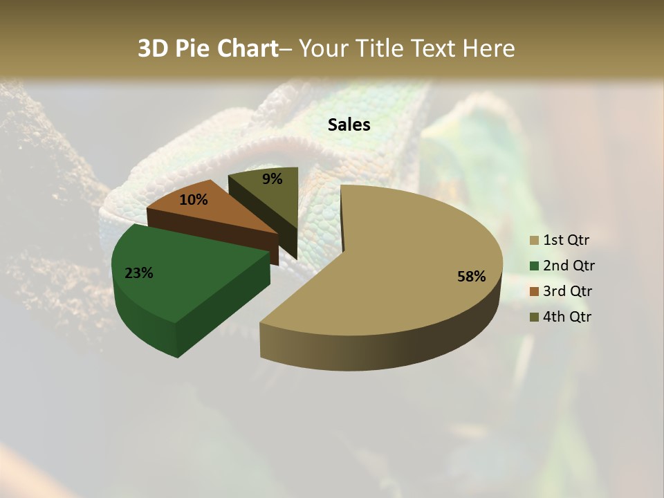 Looking Camouflage Careless PowerPoint Template