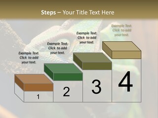 Looking Camouflage Careless PowerPoint Template