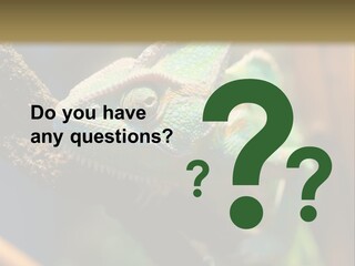 Looking Camouflage Careless PowerPoint Template